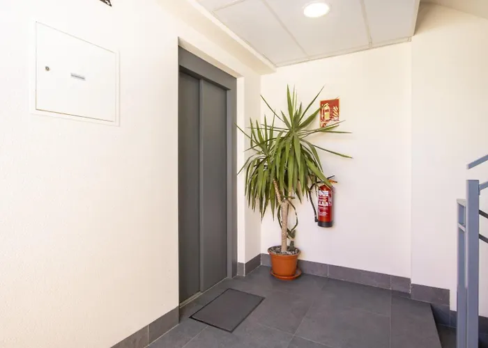 Appartement Avenida Purisima Id132 Torrevieja