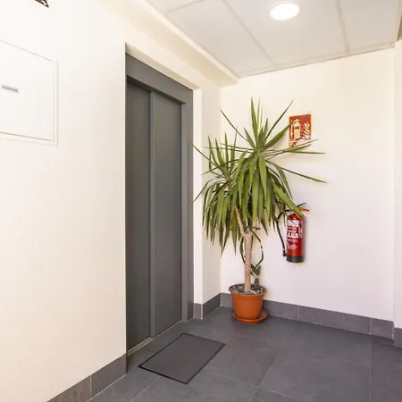 Apartamento Avenida Purisima Id132 Torrevieja